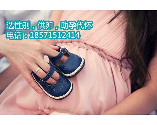 北京试管助孕公司用科技改变命运